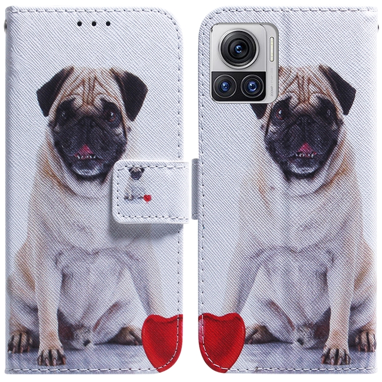 For Motorola Moto X30 Pro 5G / Edge 30 Ultra Coloured Drawing Leather Phone Case(Pug)
For Motorola Moto X30 Pro 5G / Edge 30 Ultra Coloured Drawing Leather Phone Case(Pug)