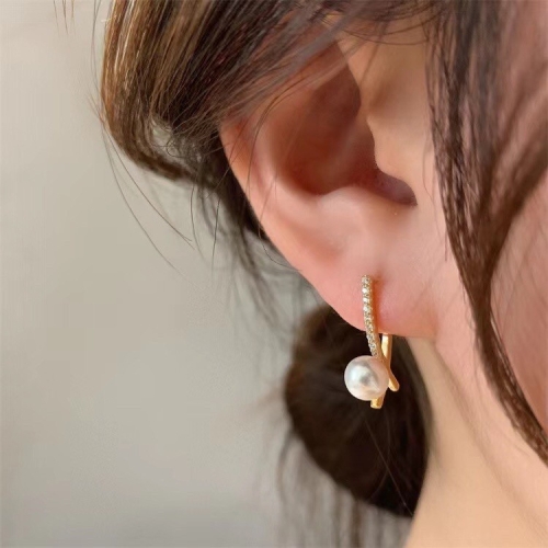 Temperament Ladies Light Luxury Pearl Double Layer Earrings Diamond Earrings, Specification:EH1456
Temperament Ladies Light Luxury Pearl Double Layer Earrings Diamond Earrings, Specification:EH1456