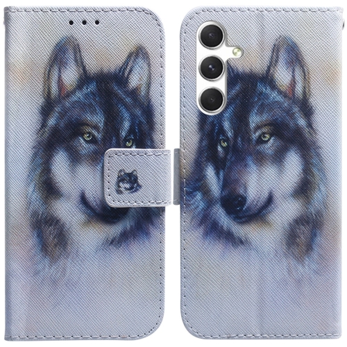 

For Samsung Galaxy S24 5G Coloured Drawing Flip Leather Phone Case(White Wolf)
