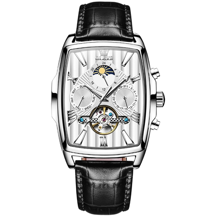 OLEVS 6675 Men Multifunctional Moon Phase Tourbillon Mechanical Watch(White + Silver)
OLEVS 6675 Men Multifunctional Moon Phase Tourbillon Mechanical Watch(White + Silver)