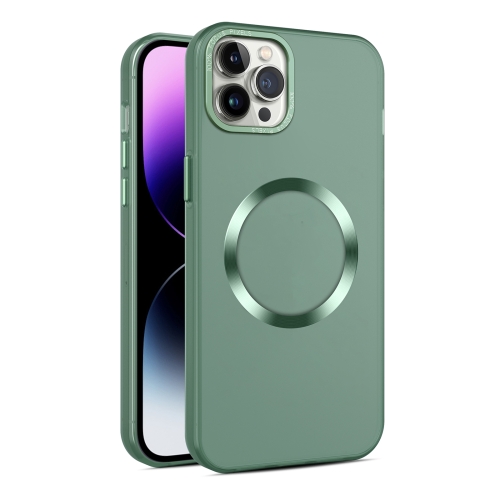 

For iPhone 11 Pro Max CD Texture MagSafe Frosted Translucent Phone Case(Green)