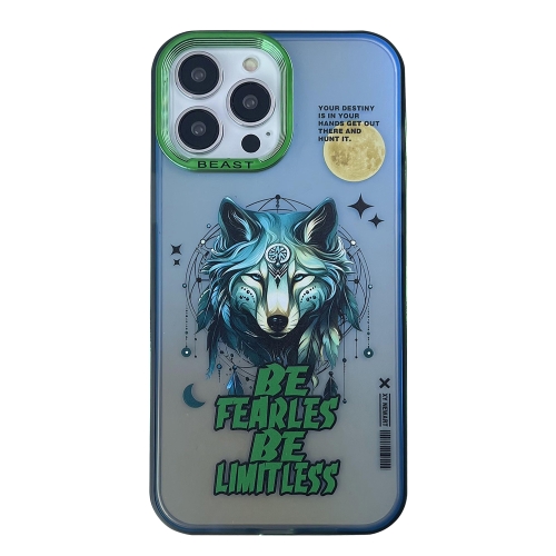 

For iPhone 14 Pro Max Aurora Series Painted Pattern Phone Case(Wolf)