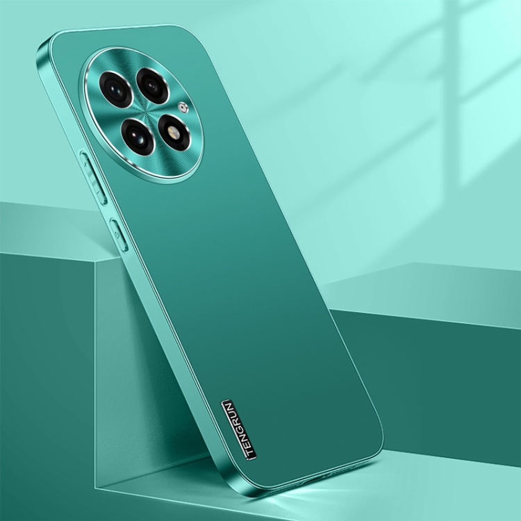For OnePlus 13 Streamer Series Micro Frosted Metal Paint PC Phone Case(Alpine Green)
For OnePlus 13 Streamer Series Micro Frosted Metal Paint PC Phone Case(Alpine Green)