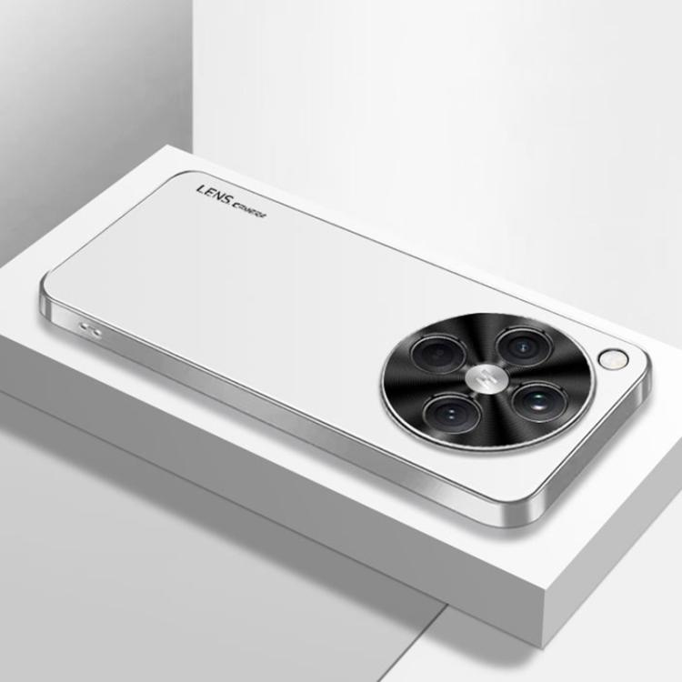 For OPPO Find X8 Pro AG Frosted Electroplating Acrylic Phone Case(Silver White)
For OPPO Find X8 Pro AG Frosted Electroplating Acrylic Phone Case(Silver White)