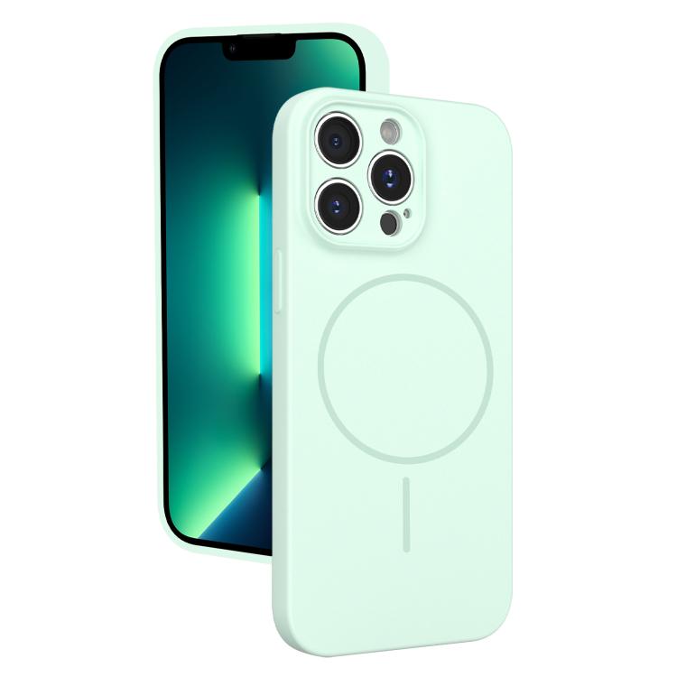 For iPhone 13 Pro Max Thin Circle MagSafe Fine Hole Liquid Silicone Phone Case(Mint Green)
For iPhone 13 Pro Max Thin Circle MagSafe Fine Hole Liquid Silicone Phone Case(Mint Green)