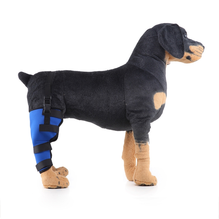 HJ19 Pet Surgery Rehabilitation Back Leg Protector Walking Aids, Size: S(Blue Right Back Leg)
HJ19 Pet Surgery Rehabilitation Back Leg Protector Walking Aids, Size: S(Blue Right Back Leg)