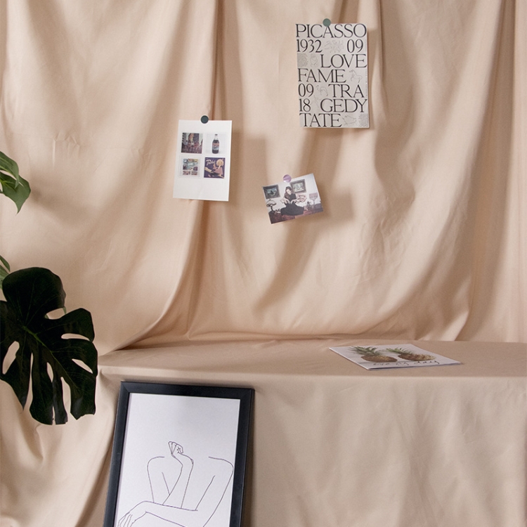 1 x 2.4m Photo Background Cloth Increased Widened Photography Cloth Live Broadcast Solid Color Cloth(Beige)
1 x 2.4m Photo Background Cloth Increased Widened Photography Cloth Live Broadcast Solid Color Cloth(Beige)