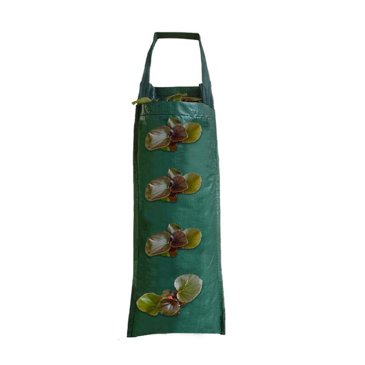 2 PCS Multi-Port Grow Bags For Plant Strawberry Potato Hanging Planting Pots, Size: 4 Port
2 PCS Multi-Port Grow Bags For Plant Strawberry Potato Hanging Planting Pots, Size: 4 Port