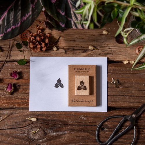 4 PCS Vintage Botanical Stamp DIY Handbook Decorative Journal Beechwood Stamp(Kaleidoscope)
4 PCS Vintage Botanical Stamp DIY Handbook Decorative Journal Beechwood Stamp(Kaleidoscope)