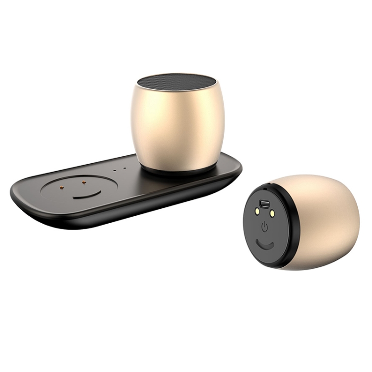 SARDiNE F1 Aluminium Alloy Stereo Wireless Bluetooth Speaker with Charging Dock, Support Hands-free(Gold)