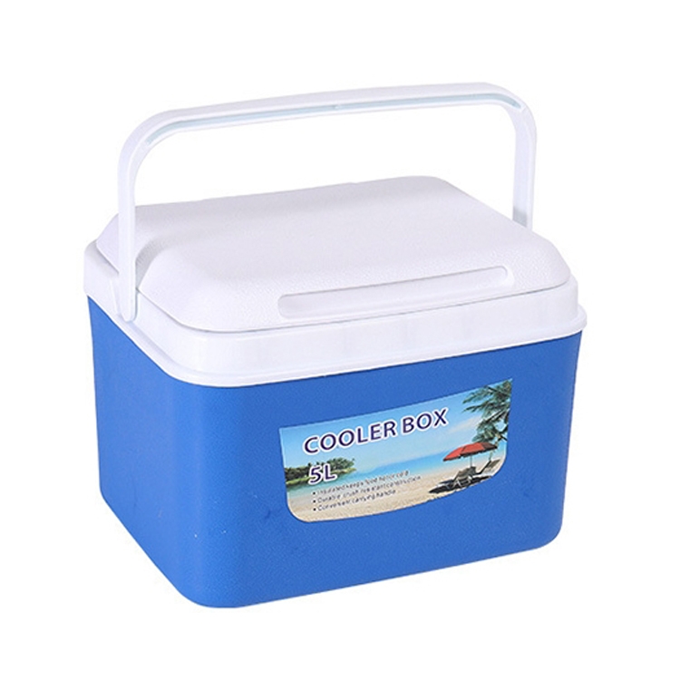 Mini congelatore del frigorifero dell'auto, frigorifero portatile da  campeggio elettrico Ice Box 6l, scatola di raffreddamento del dispositivo  di raffreddamento a doppio uso del campeggio Scatola di raffreddamento  dell'isolamento a doppio uso