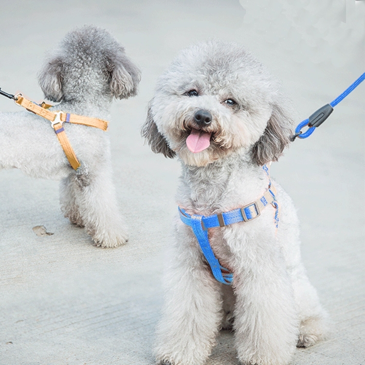 Juguetes Para Perros Cuerdas Xl De 70+50cm Grandes Y Fuertes