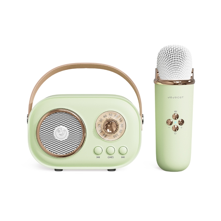 Haut-parleur Bluetooth karaoké multifonctionnel C20 Plus avec microphone  (vert)