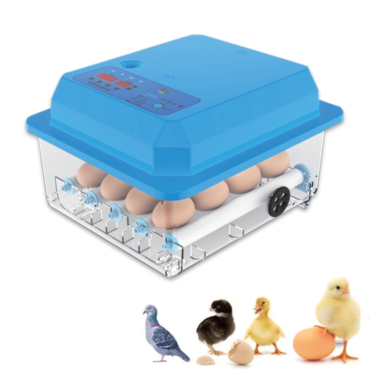 Incubatrice per uova Piccola schiusa automatica per utensili per pollo  intelligente domestica, spina CN, specifica: 9