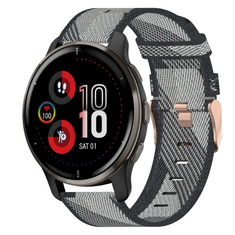 Garmin Venu 2 Plus Silver / Gray Band