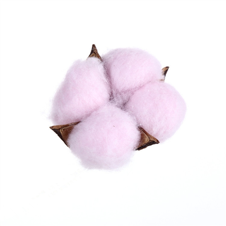 10 PCS Natural Cotton Balls Dry Flower Plants Party Birthday Hotel  Courtyard Decoration(Light Pink)