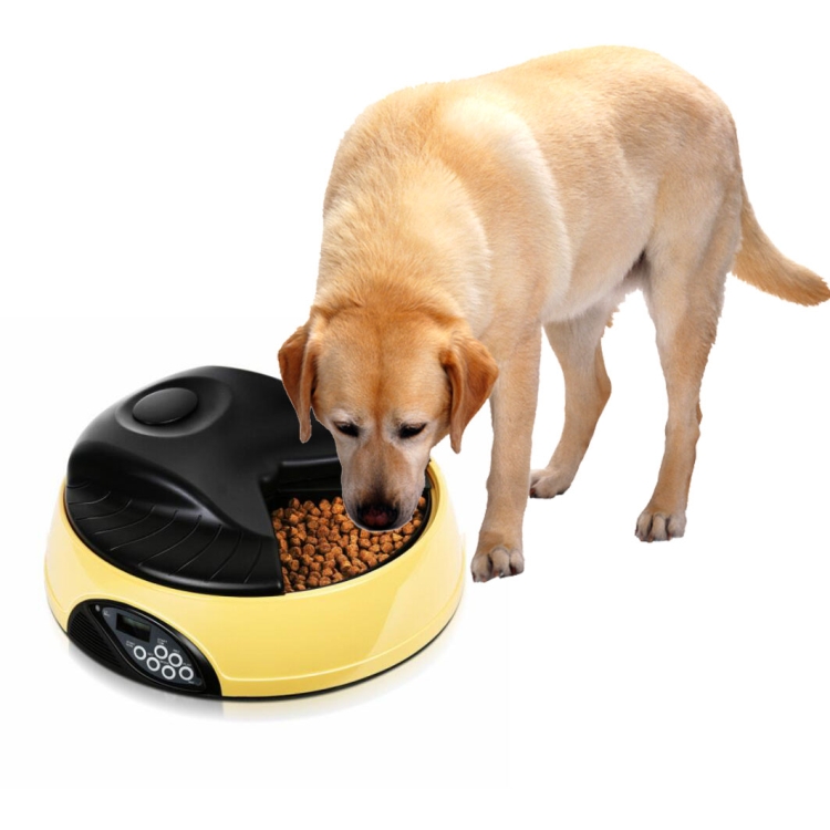 Pet Feed Wet Food Automatic Timing Feeder Cat can Soak in Water