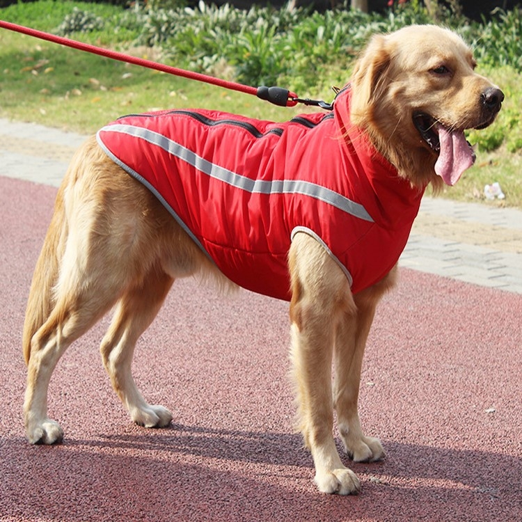 4xl dog vest