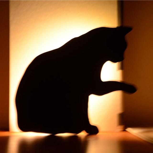 Controle De La Lumiere Led Controle Du Son Veilleuse Silhouette Lumiere Ombre Lumiere Chat Applique Murale Batterie Usb Style A Double Usage Lechage De Chat