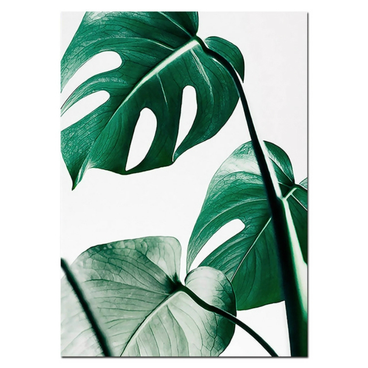 Plant Leaf English Letter Art Posters Prints Art Wall Pictures Without Frame Size 40 60cm