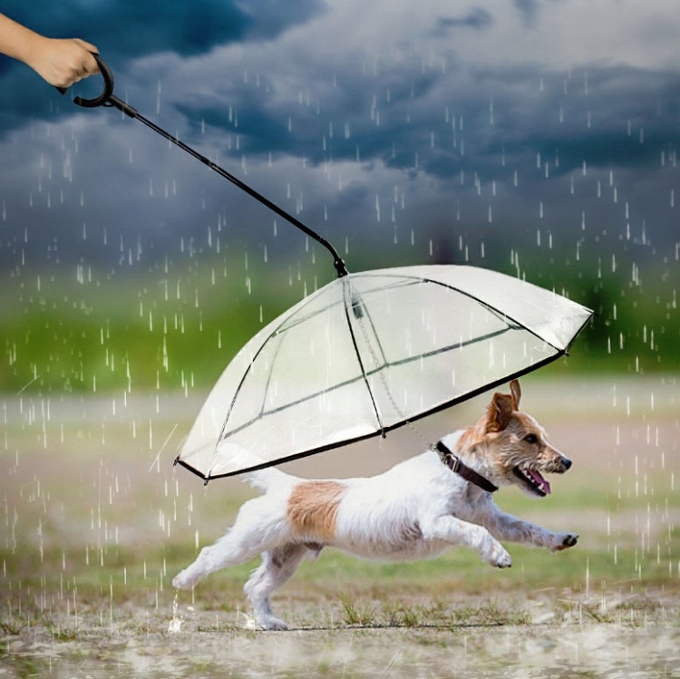 Pet Umbrella Transparent Adjustable Rainy Dog Walking Leash