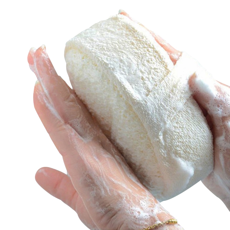 Éponge naturelle Loofah, bain douche nettoyage de la peau ou exfoliant et  lave-vaisselle de cuisine