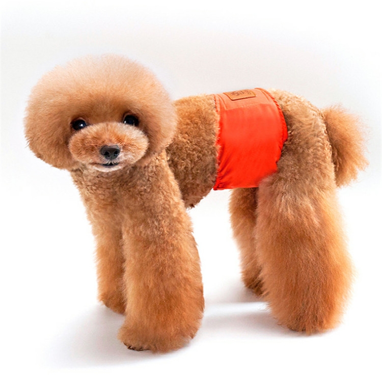 2 шт. Однотонные физиологические брюки для домашних собак-кобелей, вежливыеи защищающие от домогательств брюки для щенков, размер: L (оранжевый)