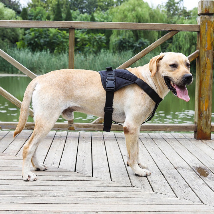 Vest style dog harness cheap