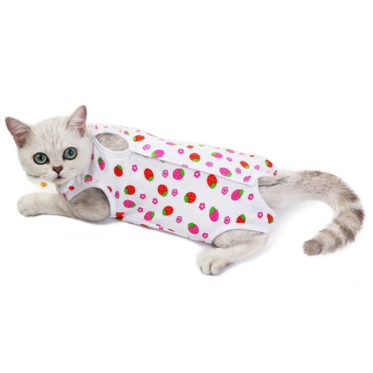 Vetements De Sterilisation Respirant Et Anti Lechage De Chat Femelle Taille S Fraise