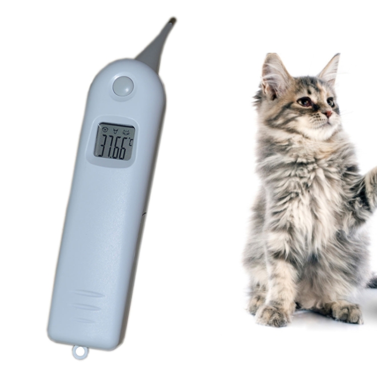 Thermomètre pour animaux Accu-Vet lecture rapide