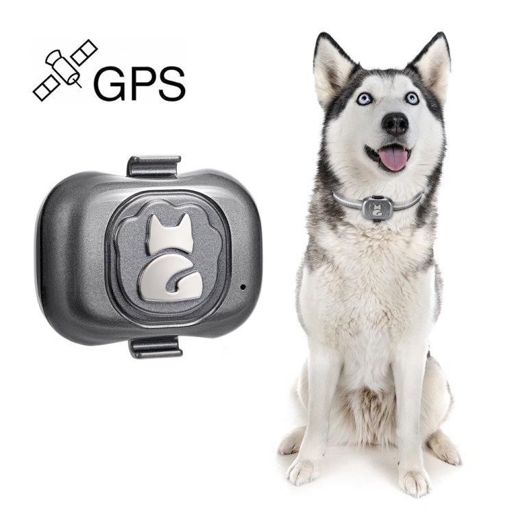 Collier traceur GPS GSM GPRS animaux chien chat anti perte noir