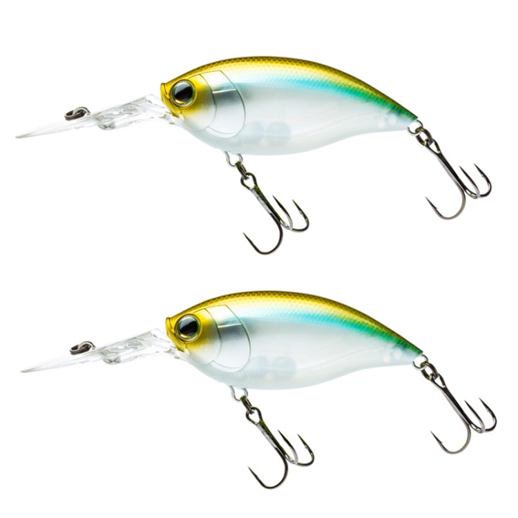 CB034/C 2pcs Laser interno Deep Dive Pesca in mare Rock Fat Fake Bait  Plastic Stiff