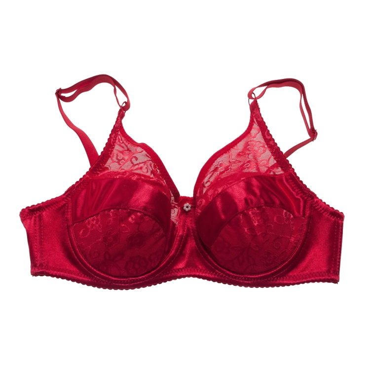 BR-JKN1063 Crossdressing Fake Breast Bra Without Fake Breast, Size:  36/80D(Red)