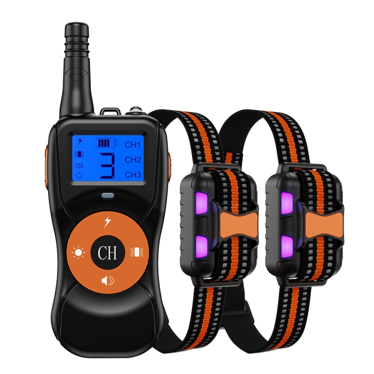 Electronic dog deals training devices