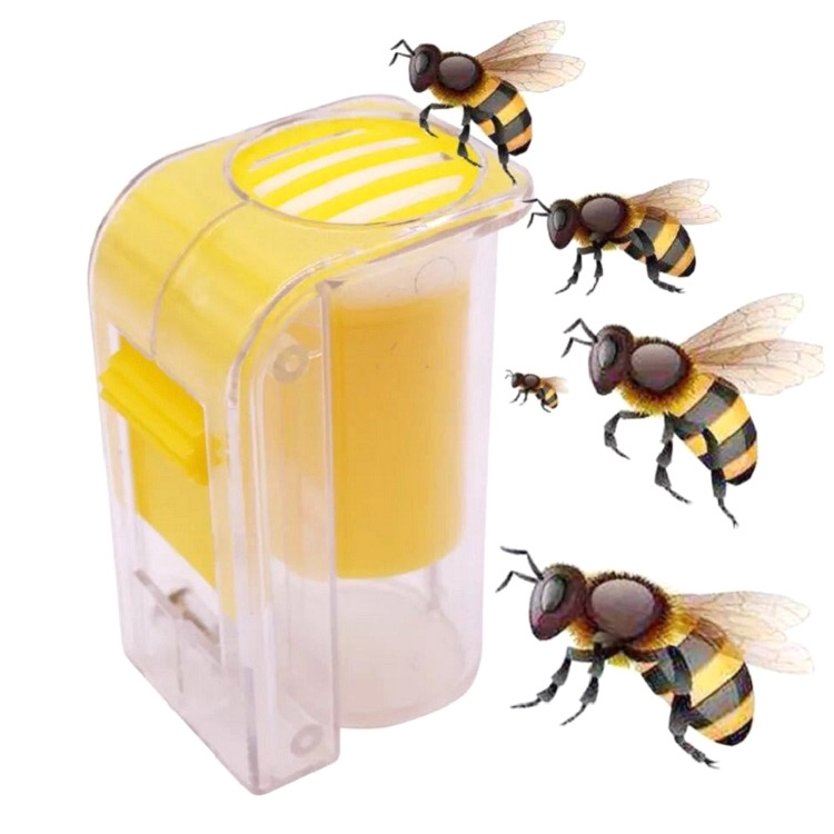 2pcs Queen Bee Marker Bottle Box Cage Beekeeping Equipment Beekeeper Tool 