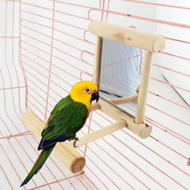 Wooden Pet Toy Mirror Parrot Toys