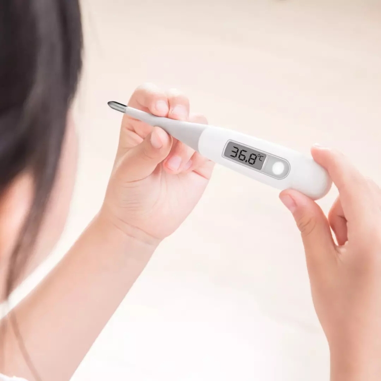 Xiaomi LCD Thermomètre électronique médical blanc