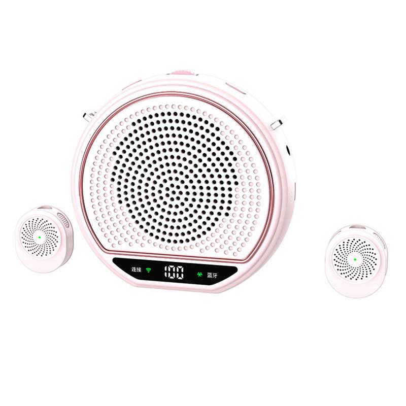 M28 2.5 inch Dual Mic Portable Wireless Lavalier Microphone Teaching Voice Amplifier(Light Pink) - Shopkiz.com