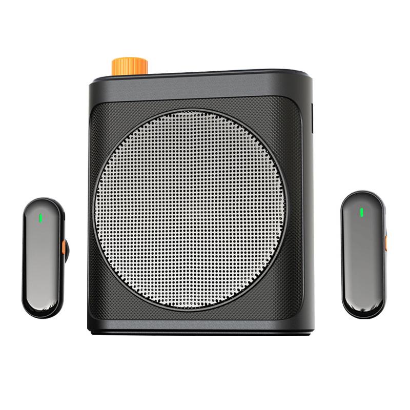 M29 Dual Mic Portable Wireless Lavalier Microphone Teaching Voice Amplifier(Black) - Shopkiz.com