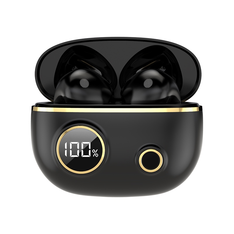 PRO100 TWS Bluetooth 5.2 Noise Canceling Waterproof Earphones 9D Stereo Sports Headphone with Charging Case(Black) - Shopkiz.com