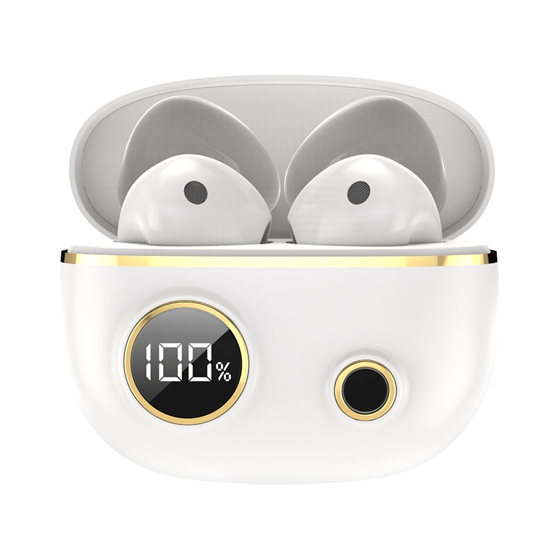 PRO100 TWS Bluetooth 5.2 Noise Canceling Waterproof Earphones 9D Stereo Sports Headphone with Charging Case(White) - Shopkiz.com