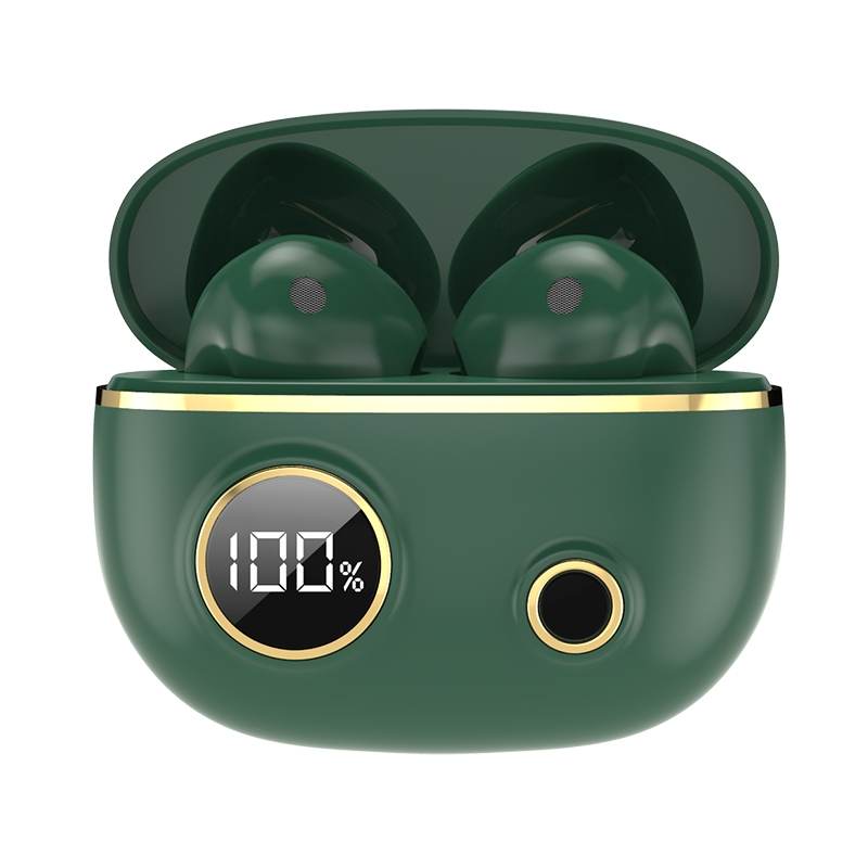 PRO100 TWS Bluetooth 5.2 Noise Canceling Waterproof Earphones 9D Stereo Sports Headphone with Charging Case(Green) - Shopkiz.com