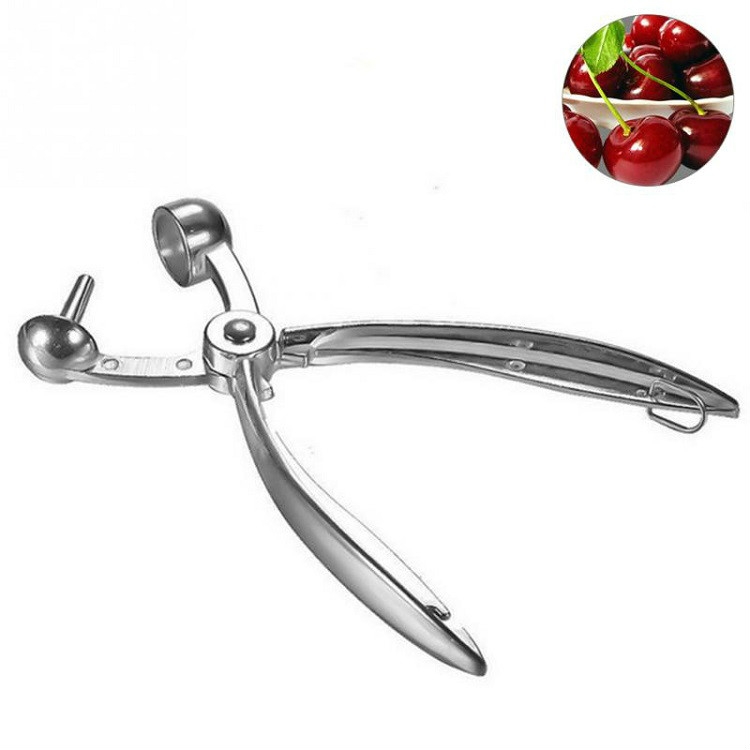 Fruit Aluminum Alloy Corer Cherry Nucleator - Shopkiz.com