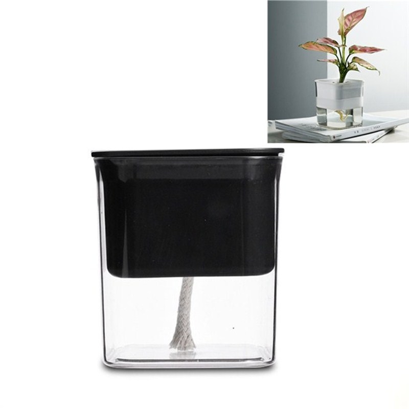 Green Radish Hydroponic Flowerpot Plastic Transparent Non-Porous Plant Automatic Water Absorption  Succulent Flowerpot(Black) - Shopkiz.com