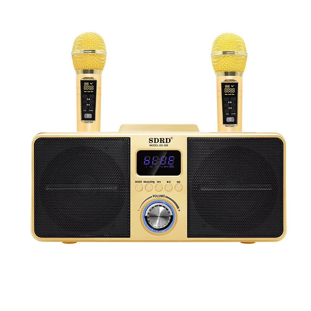 SDRD SD309 Wireless Microphone Bluetooth Audio All-In-One Machine(Golden) - Shopkiz.com