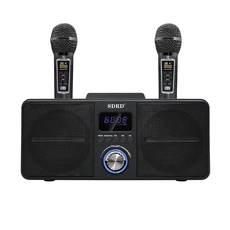 SDRD SD309 Wireless Microphone Bluetooth Audio All-In-One Machine(Black) - Shopkiz.com