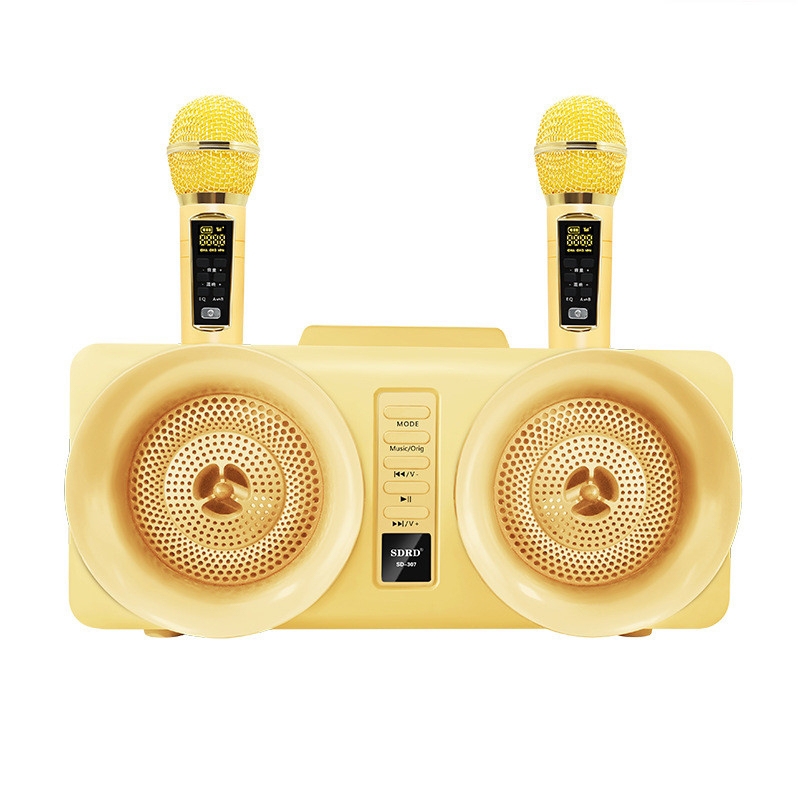 SDRD SD-307 2 in 1 Family KTV Portable Wireless Live Dual Microphone + Bluetooth Speaker(Gold) - Shopkiz.com