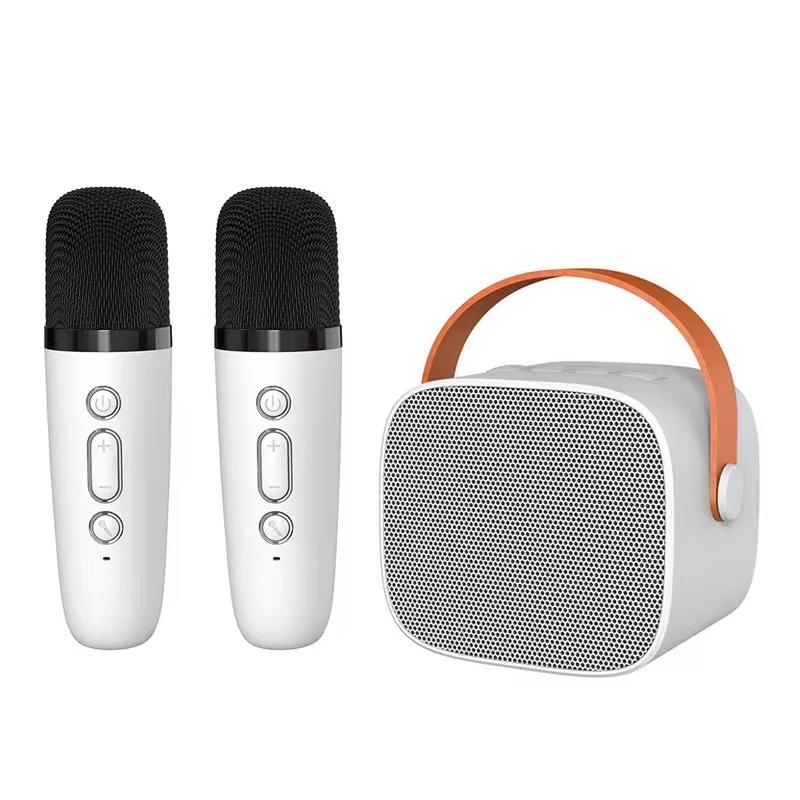 Portable Bluetooth Speaker With Detachable Microphone Kids Family Karaoke Set, Color: White Dual Mic - Shopkiz.com