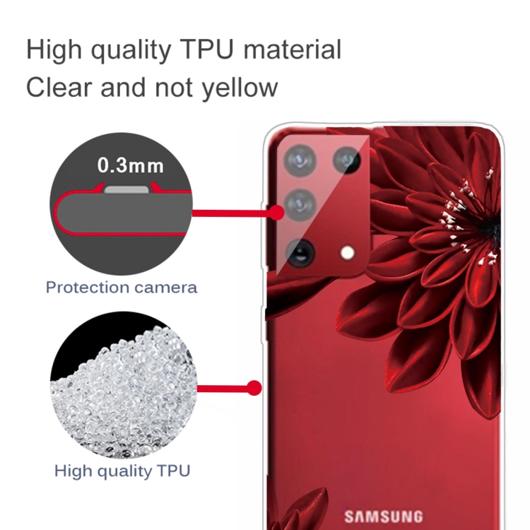 For Samsung Galaxy S21+ 5G Colored Drawing Clear TPU Protective Cases(Safflower) For Samsung Galaxy S21+ 5G Colored Drawing Clear TPU Protective Cases(Safflower)
