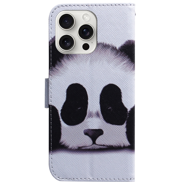 For iPhone 16 Pro Coloured Drawing Flip Leather Phone Case(Panda) For iPhone 16 Pro Coloured Drawing Flip Leather Phone Case(Panda)